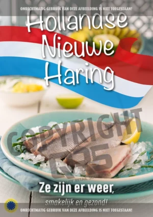 Hollandse Nieuwe Haring Poster 3 - FORMAAT A1