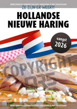 Hollandse Nieuwe Haring Poster 5